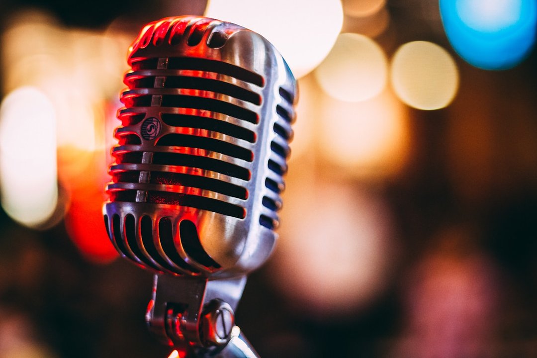 Voice & Stage Karaoke Club - фото 2