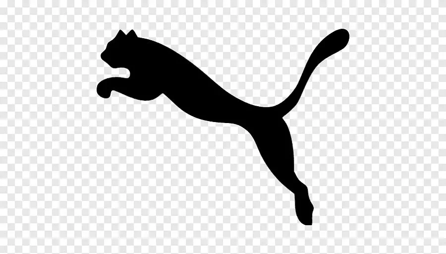 Puma - фото 2