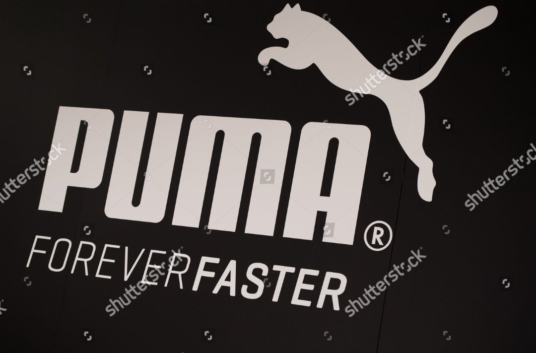 Puma - фото 2