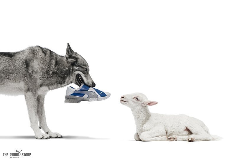 Puma - фото 8