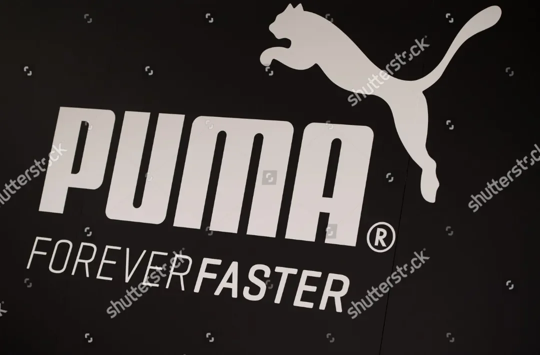 Puma - фото 10